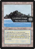 Tropical Island Tropical Island