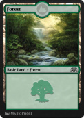 Forest Forest