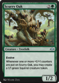 Scurry Oak Scurry Oak