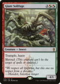 Giant Solifuge Giant Solifuge