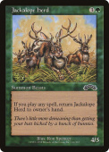 Jackalope Herd Jackalope Herd