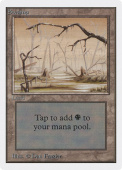 Swamp Swamp