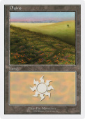 Plains Plains