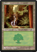 Forest Forest