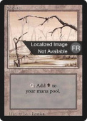 Swamp Swamp