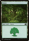Forest Forest