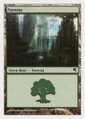 Forest Forest
