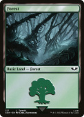 Forest Forest