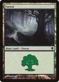 Forest Forest