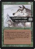 Aspect of Wolf Aspect of Wolf