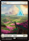 Plains Plains
