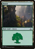 Forest Forest