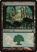 Forest Forest