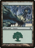 Forest Forest
