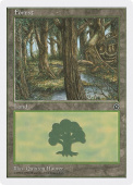 Forest Forest