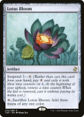 Lotus Bloom Lotus Bloom