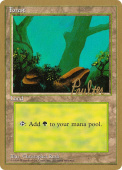Forest Forest