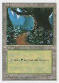 Forest Forest