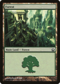 Forest Forest