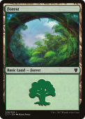 Forest Forest