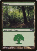 Forest Forest