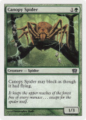 Canopy Spider Canopy Spider