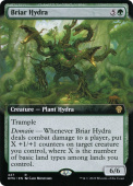 Briar Hydra Briar Hydra