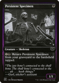 Persistent Specimen Persistent Specimen