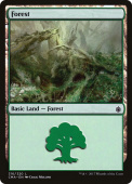 Forest Forest