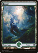 Forest Forest