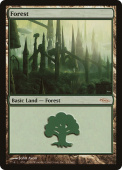 Forest Forest