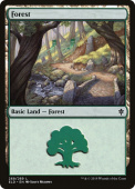 Forest Forest