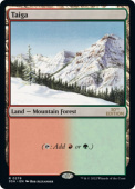 Taiga Taiga
