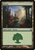 Forest Forest