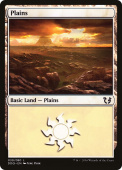 Plains Plains