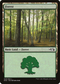 Forest Forest