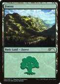 Forest Forest