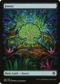 Forest Forest