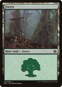 Forest Forest