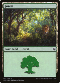 Forest Forest