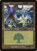 Forest Forest