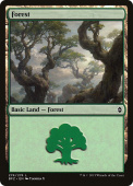 Forest Forest