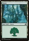 Forest Forest