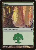 Forest Forest