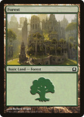 Forest Forest