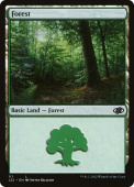 Forest Forest