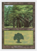 Forest Forest