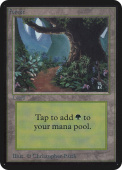 Forest Forest