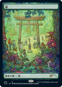 Forest Forest