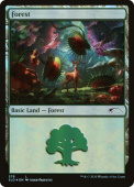 Forest Forest
